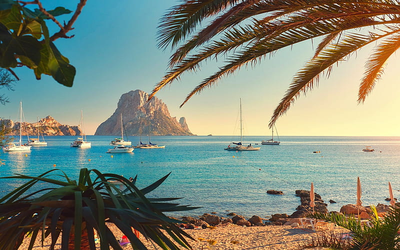 Ibiza coastline with palm trees and yachts